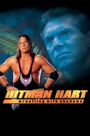 Hitman (1998) Hindi Dual Audio | Hindi Dubbed Movie UnCut HDRip [1.1GB]
