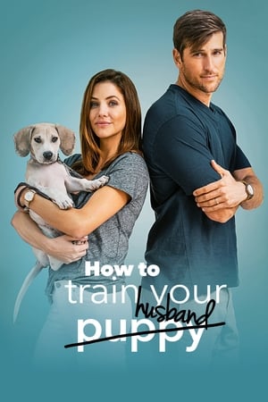How to Train Your Husband 2018 Hindi Dual Audio | Hindi Dubbed Movie BluRay 300MB