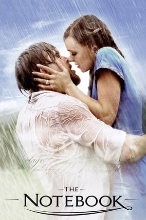 The Notebook 2004 Dual Audio Hindi Full Movie | Hindi Dubbed Movie BRRip - 1GB