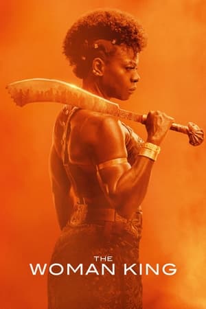 The Woman King 2022 Hindi (Cleaned) Dual Audio HDRip | Hindi Dubbed Movie – 480p